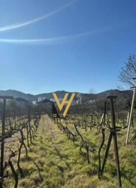 Tirane, shitet toke dhe shtepi private , 4.000 m² 550.000 € (VORE)