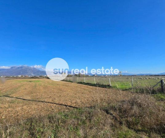 Shkoder, shitet toke , 8.000 m² 75.000 € (OMARAJ, VRAKE)
