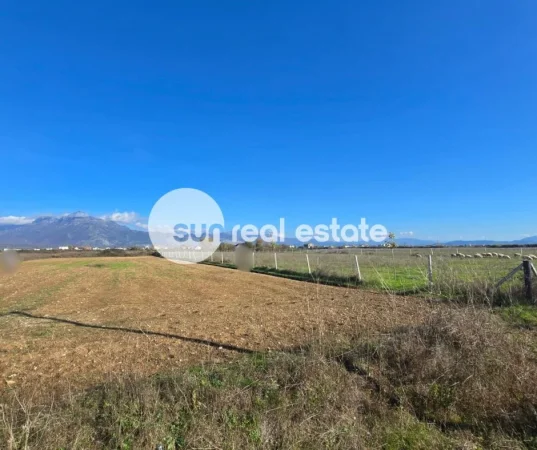 Shkoder, shitet toke , 8.000 m² 75.000 € (OMARAJ, VRAKE)