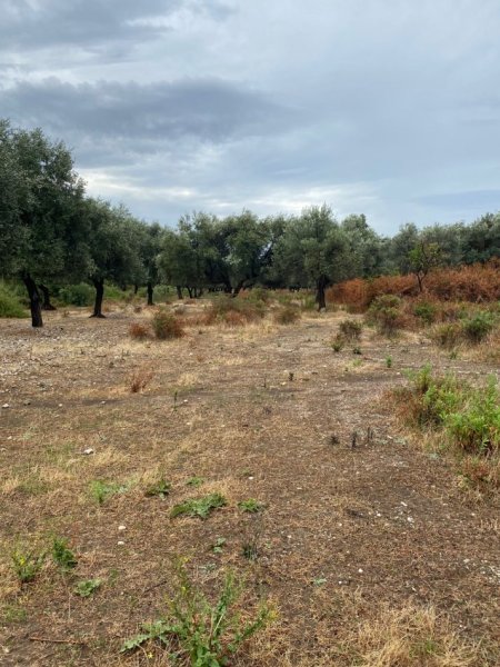 Borsh, shitet toke , 1.000 m² 157.000 € (ne Borsh Sarande.)