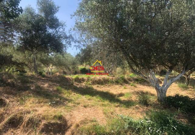 Vlore, shitet shtepi 1 Katshe Kati 1, 700 m² 100.000 Euro (Sherishte,Qishbardhe)