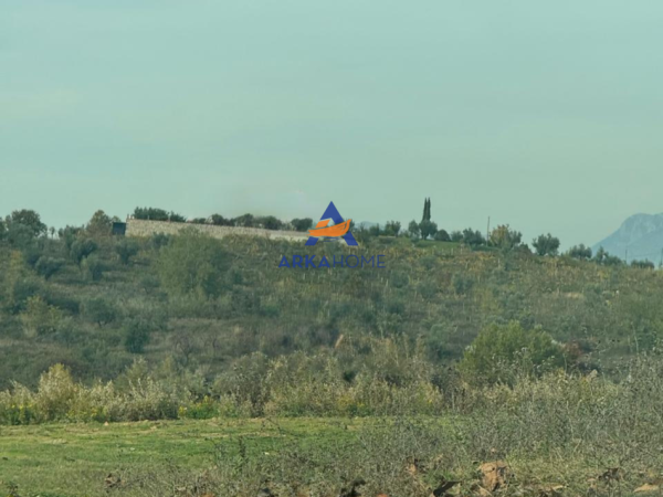 Tirane, jepet me qera toke , 5.000 m² 