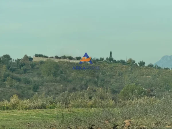 Tirane, jepet me qera toke , 5.000 m² 