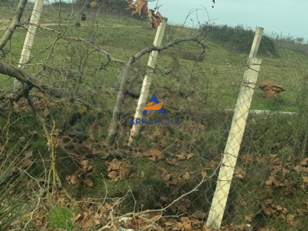 Tirane, jepet me qera toke , 600 m² 