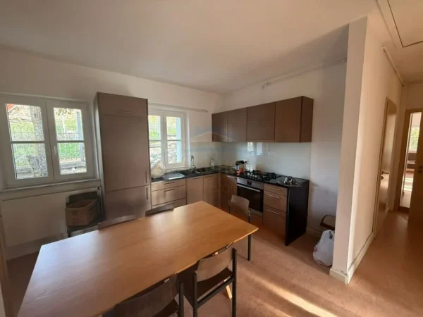 Shitet , Shtëpi Pushimi , Peshkëpi , Pogradec 160,000 €