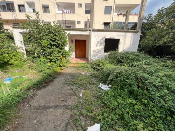 WhatsApp Image 2025-10-22 at 10.30.24 AM (1).jpeg