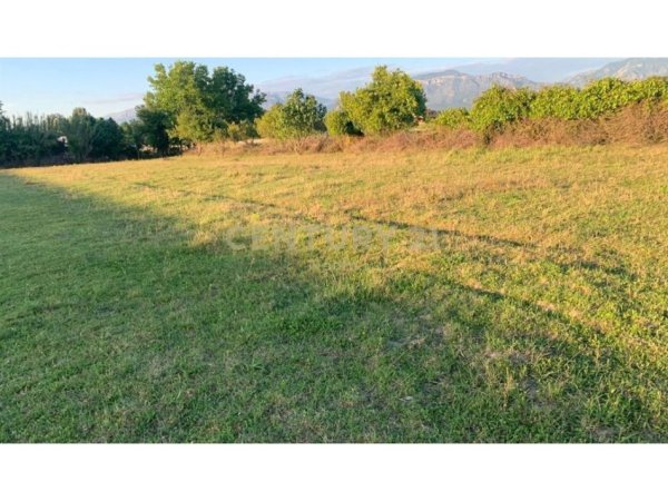 Tirane, shitet toke , 10.000 m² 600.000 € (Neom123218)