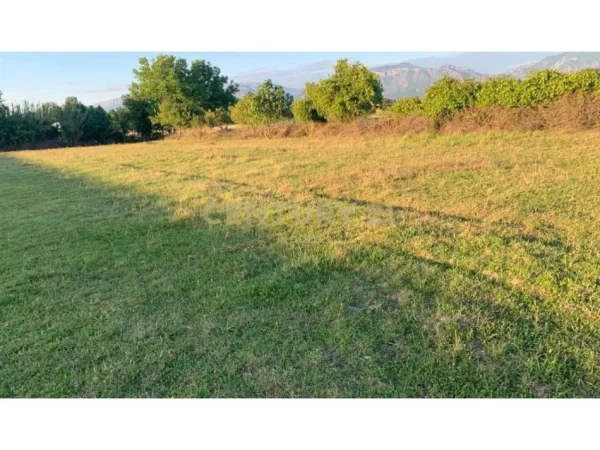 Tirane, shitet toke , 10.000 m² 600.000 € (Neom123218)