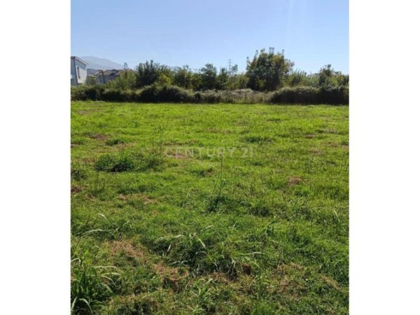 Tirane, shitet toke , 10.000 m² 600.000 € (Neom123218)