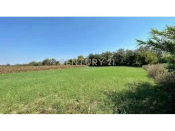 Tirane, shitet toke , 10.000 m² 600.000 € (Neom123218)