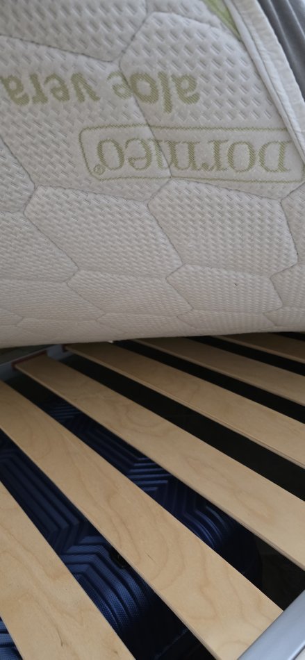 Tirane, Shes krevat dopio