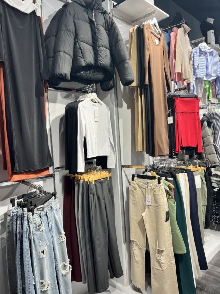 Tirane, shes SHITET AKTIVITETI