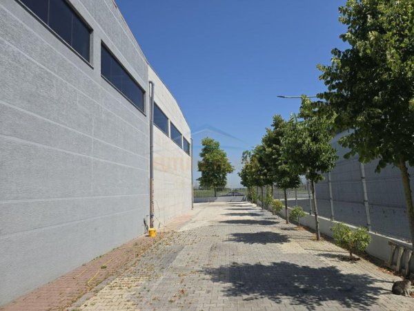 Tirane, shitet magazine Kati 0, 930 m² 1.100.000 € (BUBQ)