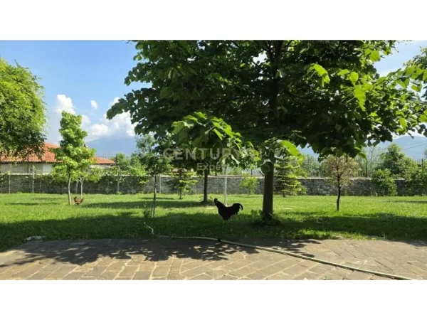 Tirane, jap me qera Vile 3 Katshe , 1.640 m² 3.500 € (DOBRESH)