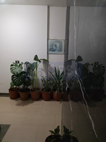 Tirane, jepet me qera apartament 1+1+Aneks+Ballkon Kati 4, 65 m² 650 € (Ish Ekspozita)