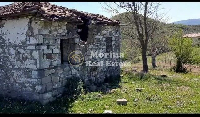 Tirane, shitet toke , 1.600 m² 91.000 € (Baldushk)