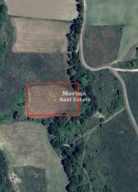 Tirane, shitet truall , 3.000 m² 300.000 € (Kryezi)