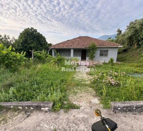 Tirane, shitet truall , 1.850 m² 345.000 € (Farke e Vogel)