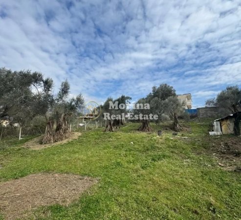 Tirane, shitet truall , 1.850 m² 345.000 € (Farke e Vogel)