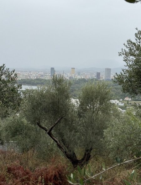 Tirane, shes toke , 500 m² (Xhebrahimi)