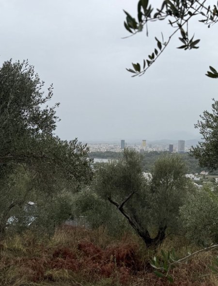 Tirane, shes toke , 500 m² (Xhebrahimi)