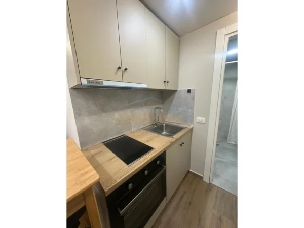 Tirane, jepet me qera apartament 1+1+Ballkon Kati 1, 550 € (qender)