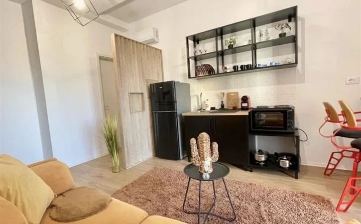 Tirane, jepet me qera apartament 1+1 Kati 1, 55 m² 550 € (SIRI KODRA)