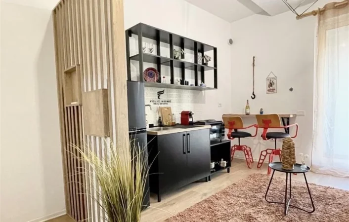 Tirane, jepet me qera apartament 1+1 Kati 1, 55 m² 550 € (SIRI KODRA)