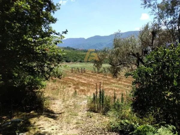 Tirane, shitet toke , 11.300 m² 1.695.000 € (Daias)