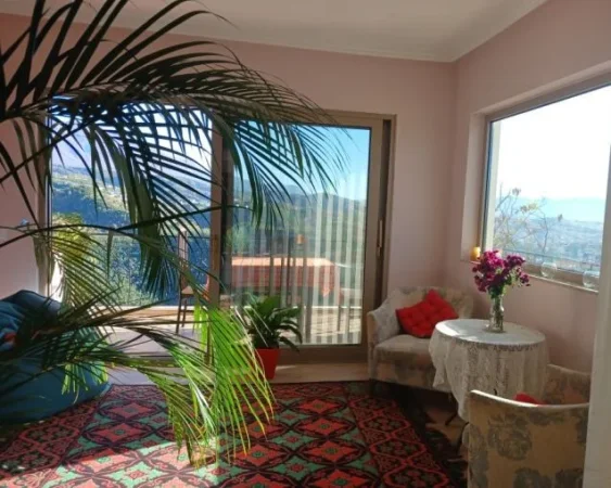 Tirane, jepet me qera apartament 2+1+Aneks+Ballkon Kati 2, 150 m² 550 € (fresku , linze)