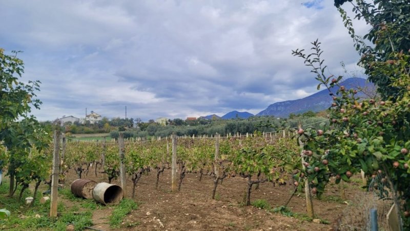 Tirane, shitet Vile 3 Katshe , 550.000 € 