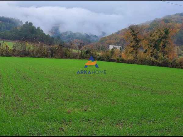 Tirane, shitet toke , 3.500 m² (PETRELE)