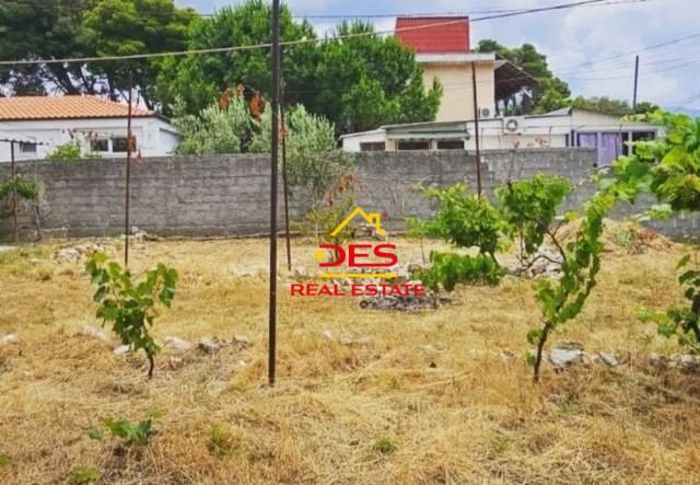 Vlore, shes truall ne bregdet 305 m² 105.000 Euro (Rruga Sazani,Vlore)