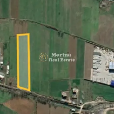 Tirane, shitet toke , 4.000 m² 85.000 € (Dritas)