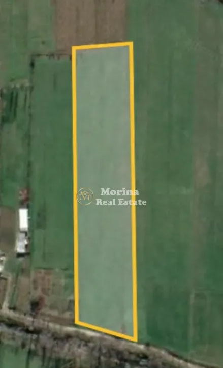 Tirane, shitet toke , 4.000 m² 85.000 € (Dritas)