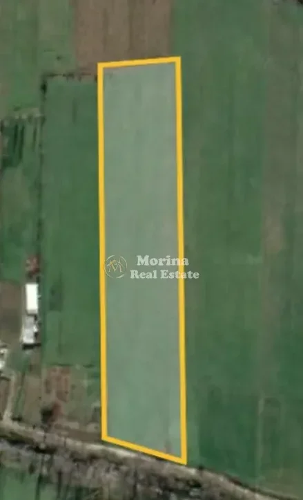 Tirane, shitet toke , 4.000 m² 85.000 € (Dritas)