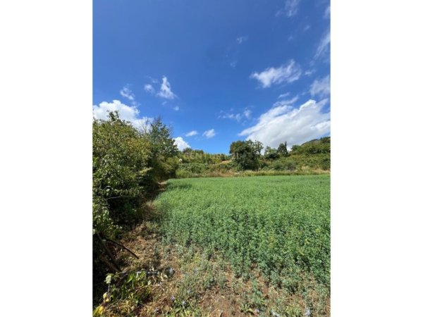 Shqiperi, shitet , 4.000 m² 115.000 € (Krrabe)