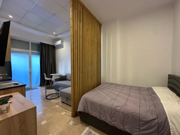 Tirane, jepet me qera garsonier 1+1 Kati 0, 350 €