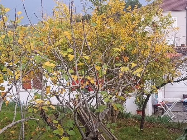 Tirane, shitet shtepi 1 Katshe , 105 m² 330.000 € (Shkoze)