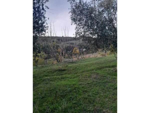 Tirane, shitet toke , 3.000 m² 260.000 € (Gurre e Madhe)