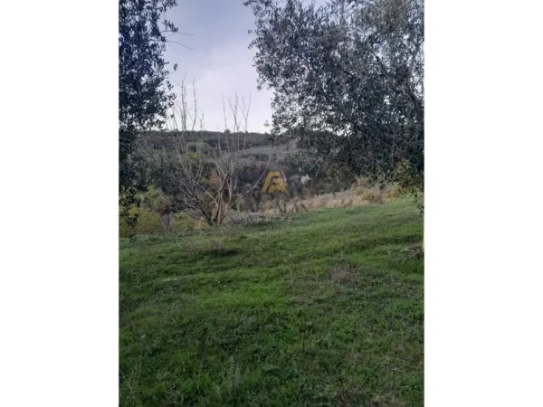 Tirane, shitet toke , 3.000 m² 260.000 € (Gurre e Madhe)