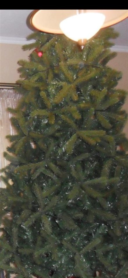 Tirane, shes Peme per vitin e ri 150 €