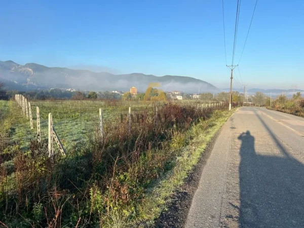 Tirane, shitet toke , 4.000 m² 300.000 € (Vishnje)