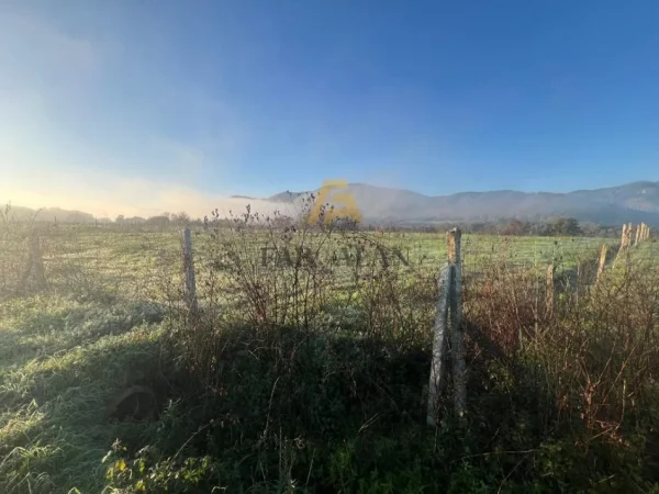 Tirane, shitet toke , 4.000 m² 300.000 € (Vishnje)