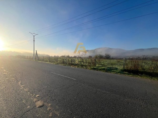 Tirane, shitet toke , 4.000 m² 300.000 € (Vishnje)