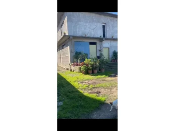 Vlore, shitet shtepi 2 Katshe , 200 m² 230.000 € (Vlore)