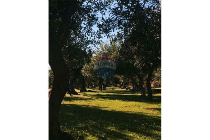 Dhermi - Palase, shitet truall ne bregdet , 4.500 m² (Himare - Ilias-Himare-Vlore - Palasë, Bregdeti Jon)