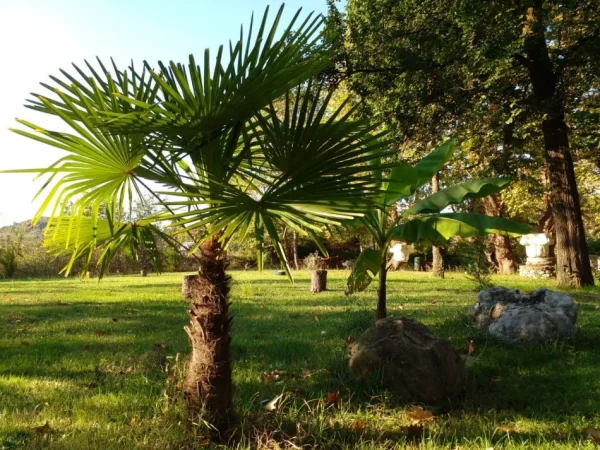 Shitet , (0698407130)