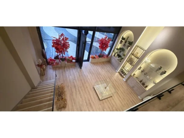 Tirane, shitet ambjent biznesi Kati 0, 136 m² (delioxh)