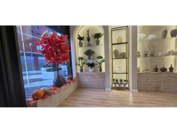 Tirane, shitet ambjent biznesi Kati 0, 136 m² (delioxh)